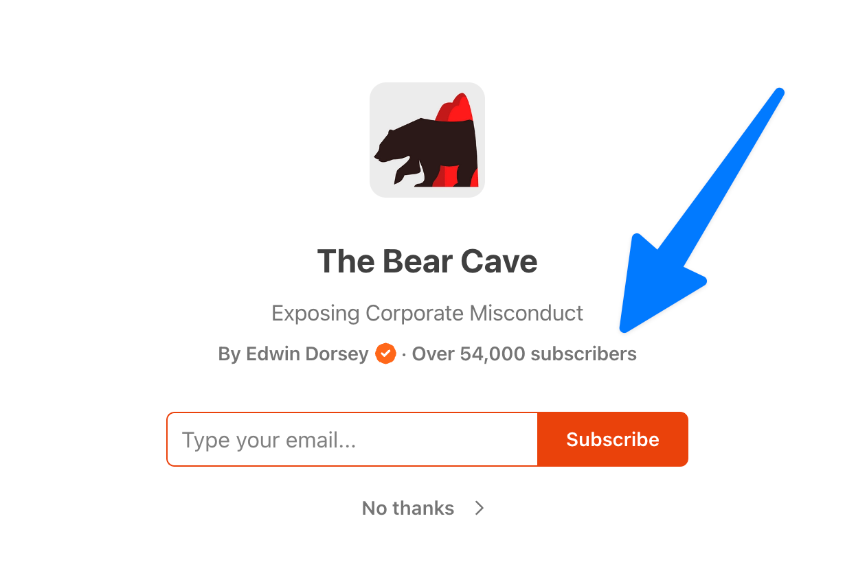 the bear cave homepage screenshot